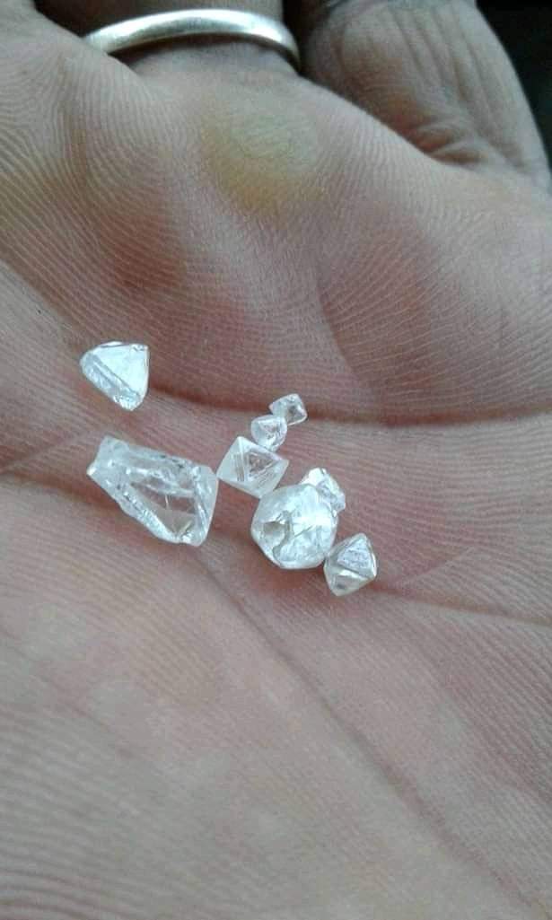 الماس خام امريكي للبيع في اليمن